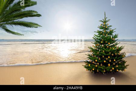 plage de la mer du sud avec un arbre de noël Banque D'Images