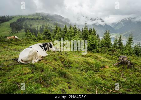 schlegeis stausee vue sur le lac depuis la montagne sentier de randonnée. zillertal,autriche,europe. Banque D'Images