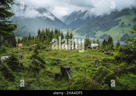 schlegeis stausee vue sur le lac depuis la montagne sentier de randonnée. zillertal,autriche,europe. Banque D'Images