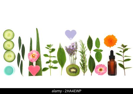 Les ingrédients essentiels de l'huile d'aromathérapie végétalienne avec des herbes, des fleurs, des légumes et des fruits.Utilisé pour la préparation de soins de beauté anti-âge Banque D'Images