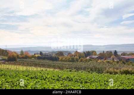 allemagne,basse-saxe,paysage près de l'evessen,vue sur le brocken dans les montagnes de harz Banque D'Images
