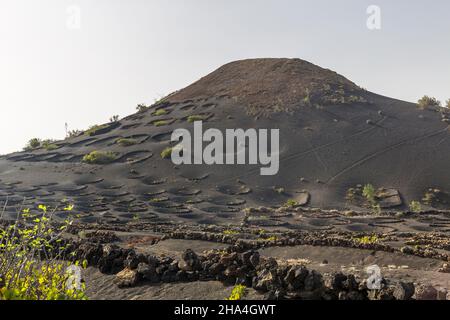 viticulture,méthode de construction sèche,paysage volcanique près de la geria,lanzarote,îles canaries,espagne,europe Banque D'Images