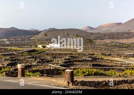 viticulture,méthode de construction sèche,paysage volcanique près de la geria,lanzarote,îles canaries,espagne,europe Banque D'Images