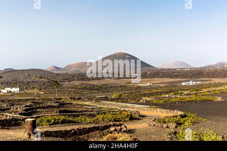 viticulture,méthode de construction sèche,paysage volcanique près de la geria,lanzarote,îles canaries,espagne,europe Banque D'Images