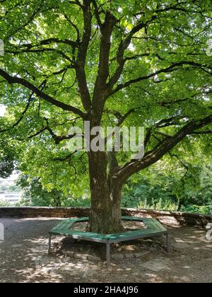 luitpoldpark, quartier de schwabing, pelouses immenses, arbres luxuriants, un morceau de nature au milieu de la ville, de la colline de luitpold une vue magnifique sur la ville. Banque D'Images