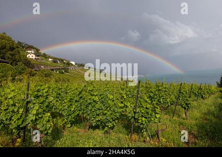 double arc-en-ciel au-dessus des vignobles et du lac Banque D'Images