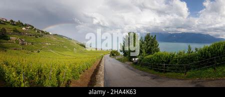 double panorama arc-en-ciel sur les vignobles près du lac Banque D'Images