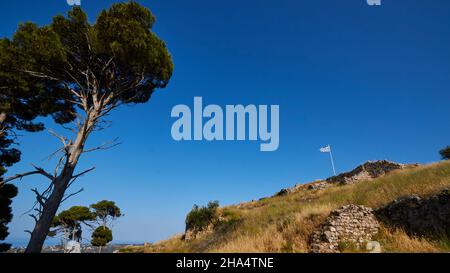 grèce,iles grecques,iles ioniennes,kefalonia,agios georgios château complexe,byzantine,16th siècle,capitale kefalonia jusqu'en 1757,beau temps,ciel bleu sans nuages,vue grand angle d'en dessous,grand arbre mince sur la gauche,le drapeau national grec agitant sur la colline droite Banque D'Images