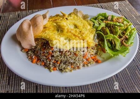 Repas en Malaisie - riz frit avec œuf, salade papaye non mûre. Banque D'Images