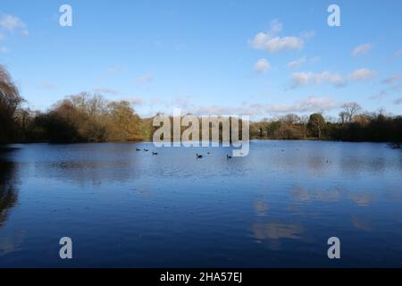 Un lac attrayant, avec les rivières Colne et les frays qui coulent le long.Idéal pour la marche, la pêche, le pique-nique.Le nom Little Britain est apparu pour la première fois sur une carte en 1819.Il est possible que le nom dérive de la forme vaguement Britannic de l'« île » formée par la rivière Colne, la rivière frays et la route vers le sud.Le lac Little Britain a été créé à la suite de l'extraction de gravier au début de 1930s. Banque D'Images