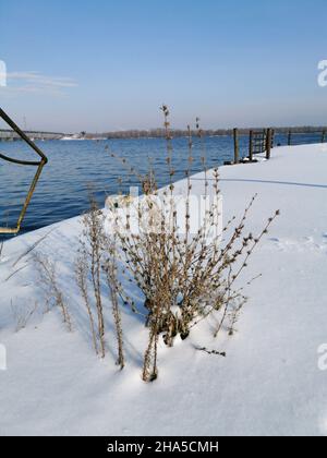 Vue d'hiver sur les jetées de rivière abandonnées sur le Dniepr.Arbustes secs poussant à travers le béton de la jetée.Les jetées sont couvertes de neige. Banque D'Images