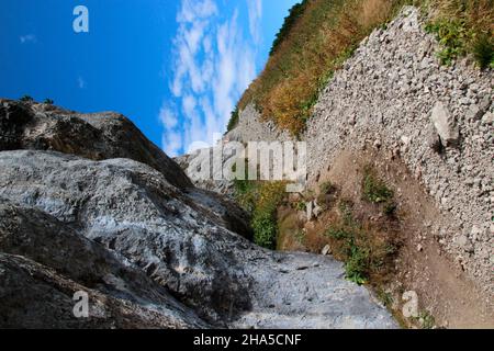 ascension à bärenkopf (1991m), face rocheuse, sentier de randonnée, poney, sur les derniers mètres au sommet, ciel bleu, achensee, tyrol, autriche Banque D'Images