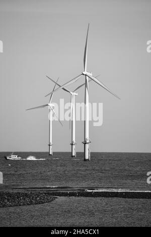 Image en noir et blanc à éclairage naturel du parc éolien offshore Teesside exploité par EDF renouvelables.Photo de South Gare, Redcar, North Yorkshire, Royaume-Uni Banque D'Images