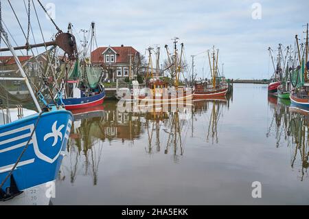 allemagne,basse-saxe,neuharlingersiel,port avec chalutiers de pêche en automne Banque D'Images