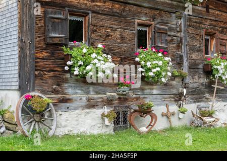 autriche,kleinwalsertal,la plus basse wiesalpe dans le kleinwalsertal dans le wildental. Banque D'Images