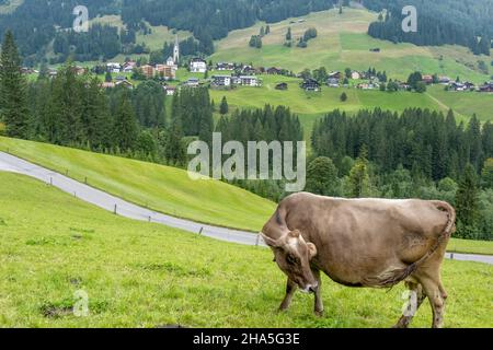 autriche,kleinwalsertal,vaches sur le pâturage alpin. vue sur mittelberg. Banque D'Images