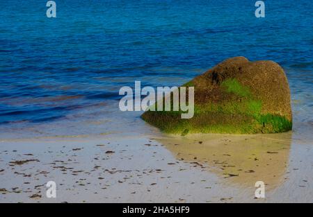 roche couverte de mousse, plage de sable, côte rocheuse le long du sentier des douaniers, trégastel, côte de granit rose, côtes d'armure, bretagne, france Banque D'Images