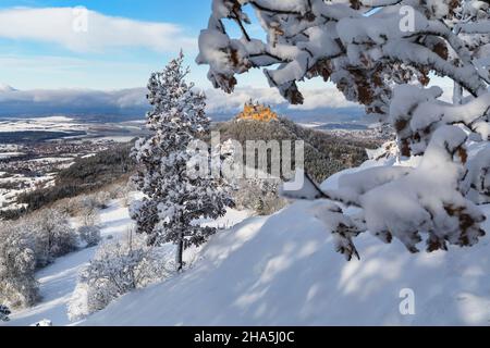 château hohenzollern en hiver, alb souabe, bade-wurtemberg, allemagne Banque D'Images