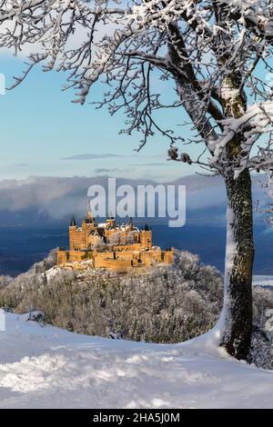 château hohenzollern en hiver, alb souabe, bade-wurtemberg, allemagne Banque D'Images