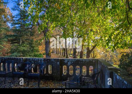 lac de constance,mainau,île,automne doré,été indien, Banque D'Images