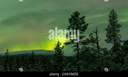 aurores boréales (aurora borealis) au-dessus de la pallastunturi, parc national pallas-yllttunturi, raattama, muonio, laponie, finlande Banque D'Images