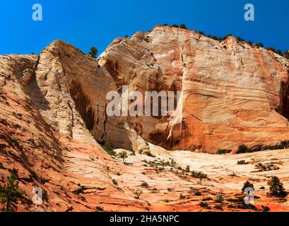Beehives les formations rocheuses sont l'ensemble des pics de montagne semblables à des mousches (non pointés), parc national de Zion, Utah Banque D'Images
