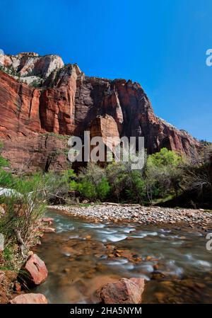 Temple of Sinawava Trail suit la Virgin River en amont à travers des canyons toujours plus étroits, parc national de Zion, Utah Banque D'Images