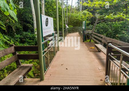 SEPILOK, MALAISIE - 18 FÉVRIER 2018 : promenades en bois du centre de conservation de l'Ours du soleil de Bornean à Sepilok, Sabah, Malaisie Banque D'Images