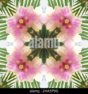 mandala, fleurs, feuilles Banque D'Images