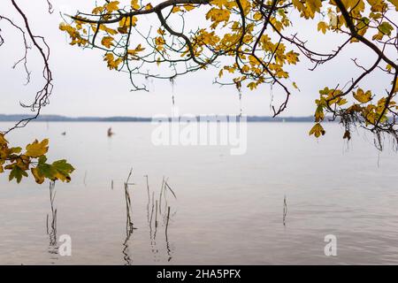 un dimanche brumeux en automne à la plaöner voir à plön, allemagne. Banque D'Images