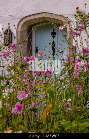 ancienne porte d'entrée en bois d'un chalet de campagne avec fleurs et feuillage dans un jardin de campagne, pittoresque et boîte de chocolat cottage avec fleurs Banque D'Images