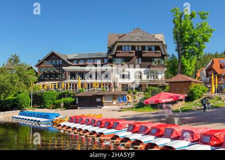 pédalos sur la promenade à titisee,forêt noire,bade-wurtemberg,allemagne Banque D'Images