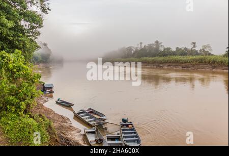 Vue brumeuse du matin sur le fleuve Kinabatangan, Sabah, Malaisie Banque D'Images