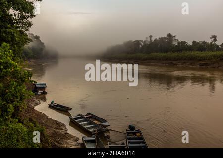Vue brumeuse du matin sur le fleuve Kinabatangan, Sabah, Malaisie Banque D'Images