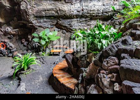 escaliers vers le lac souterrain,jameos del agua,site culturel et artistique,construit par césar manrique,artiste espagnol de lanzarote,1919-1992,lanzarote,canaries,îles canaries,espagne,europe Banque D'Images