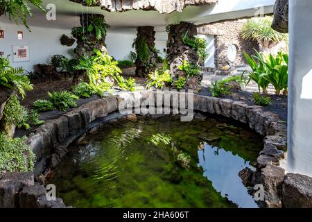 bassin d'eau dans la casa de los volcanes,maison des volcans,centre de recherche,centre d'information,jameos del agua,site culturel et artistique,construit par césar manrique,artiste espagnol de lanzarote,1919-1992,lanzarote,canaries,espagne,europe Banque D'Images