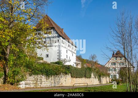 le neckarburg, également appelé schlössle, a été mentionné dans un document en 1286 comme un château appartenant à l'usine. à droite, le neckarmühle,neckartenzlingen,baden-württemberg,allemagne Banque D'Images