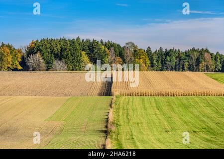 allemagne,bavière,haute-bavière,rosenheim district,tuntenhausen,schmidhausen district,hochbreiten,vue de eichberg Banque D'Images