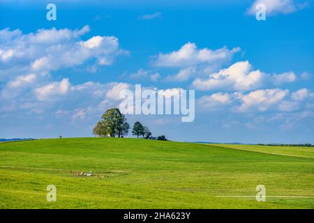 allemagne,bavière,haute-bavière,tölzer land,münsing,district degerndorf,fürst-tegernberg avec maria-dank-chapelle Banque D'Images