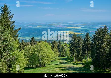 vue,paysage,printemps,großer inselsberg,bad tabarz,forêt thuringeoise,thuringe,allemagne Banque D'Images