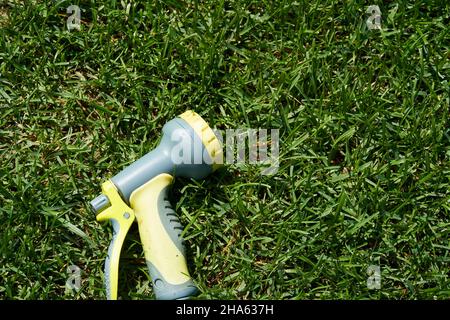 Sur la pelouse verte, il y a un tuyau pour arroser les plantes. Un tuyau d'eau avec un pulvérisateur pour arroser les plantes dans le jardin. Concept de jardinage. Photo de haute qualité Banque D'Images