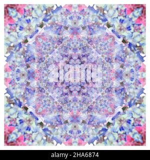 mandala,fleurs,composition Banque D'Images