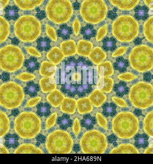 mandala,composition de fleurs Banque D'Images