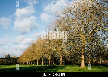 Windsor, Royaume-Uni.10th décembre 2021.Le château de Windsor est vu depuis le grand parc de Windsor en plein soleil en fin d'après-midi.Un temps doux mais instable et venteux a été prévu pour le sud-est de l'Angleterre au cours du prochain week-end.Crédit : Mark Kerrison/Alamy Live News Banque D'Images