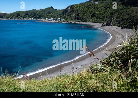 Plage à Breaker Bay, Wellington, Île du Nord, Nouvelle-Zélande Banque D'Images