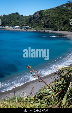 Plage à Breaker Bay, Wellington, Île du Nord, Nouvelle-Zélande Banque D'Images