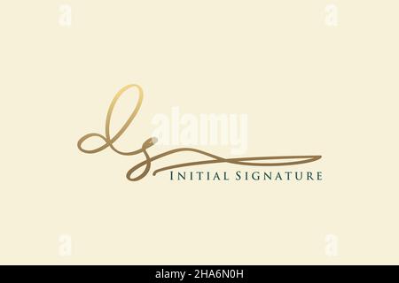 Modèle de logo Signature lettre DS logo élégant.Illustration du vecteur de lettrage calligraphique dessiné à la main. Illustration de Vecteur