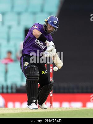 Sydney, Australie.11th décembre 2021.Matthew Wade de Hobart Hurricane chauves-souris pendant le match entre Sydney Sixers et Hobart Hurricanes au Sydney Cricket Ground, le 11 décembre 2021, à Sydney, en Australie.(Usage éditorial seulement) Credit: Izhar Ahmed Khan/Alay Live News Banque D'Images