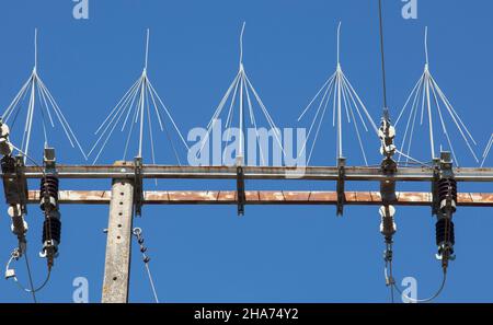 Pylônes en béton équipés de pointes d'oiseau.Certaines espèces nichent et causent des dommages Banque D'Images