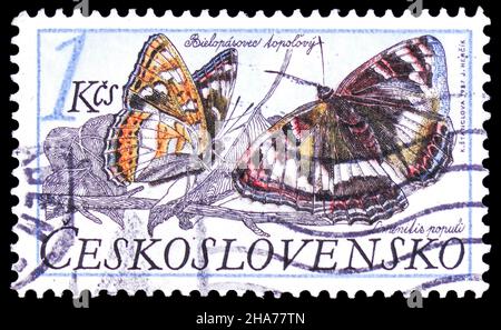 MOSCOU, RUSSIE - 8 NOVEMBRE 2021 : le timbre-poste imprimé en Tchécoslovaquie montre l'amiral de peuplier (Limenitis populi), la série de papillons et de papillons, vers Banque D'Images